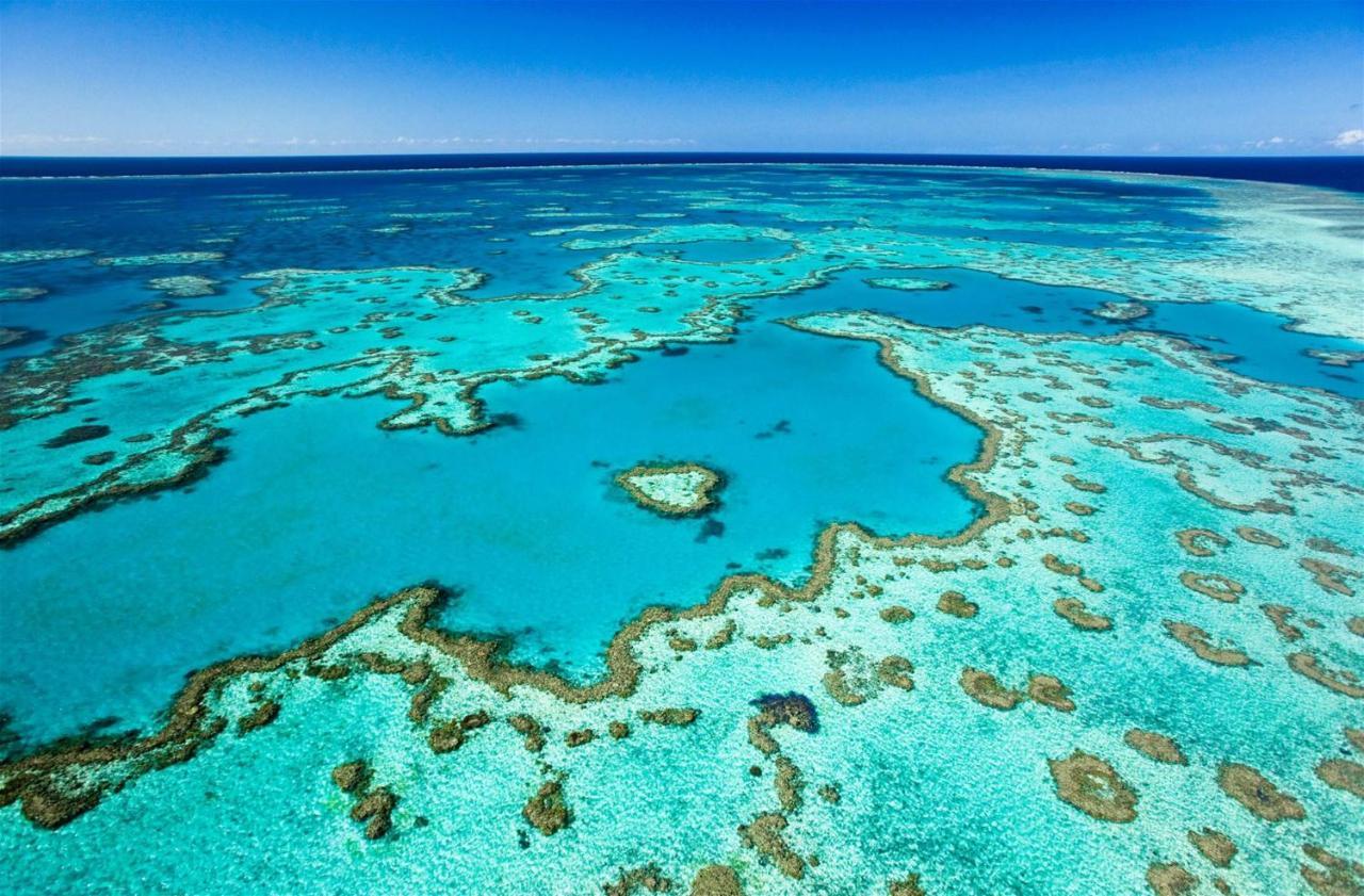 Montipora Unit 3 - In The Heart Of Airlie, Wi-Fi And Netflix Lejlighed Airlie Beach Eksteriør billede